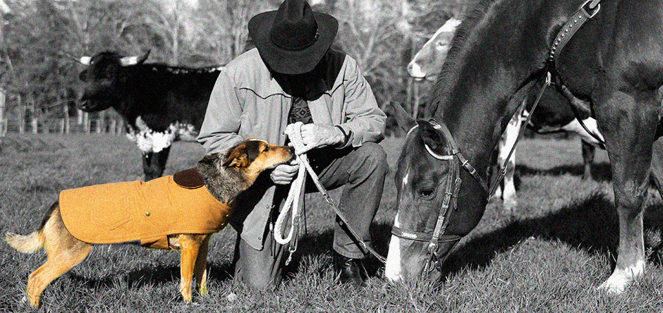 DoggieCoutureNY Yellowstone Collection