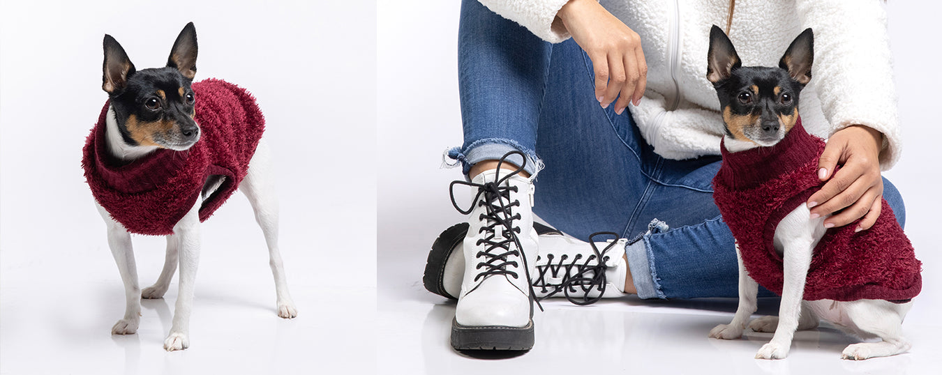Curl Up in Couture with Exclusive Hoodies & Sweaters.