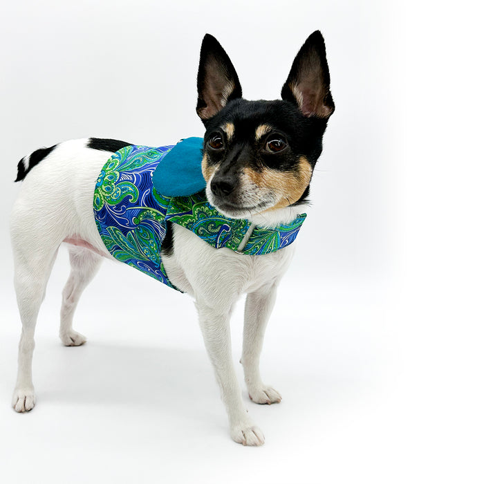 DCNY “Paisley Paws" Harness Vest
