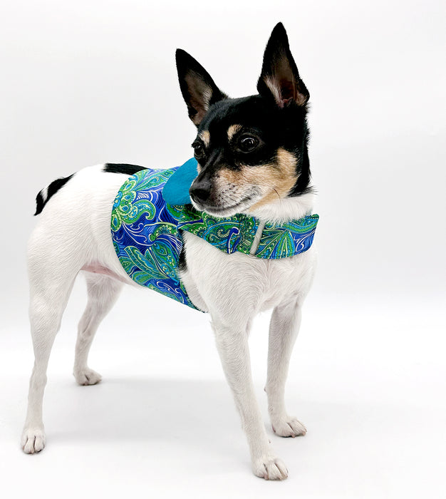 DCNY “Paisley Paws" Harness Vest