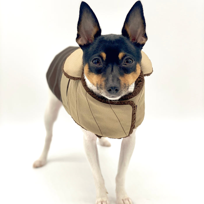DoggieCoutureNY Water Resistant Brown & Tan Coat