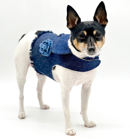 DCNY  Designer Dog Bandana, Blue– DoggieCoutureNY