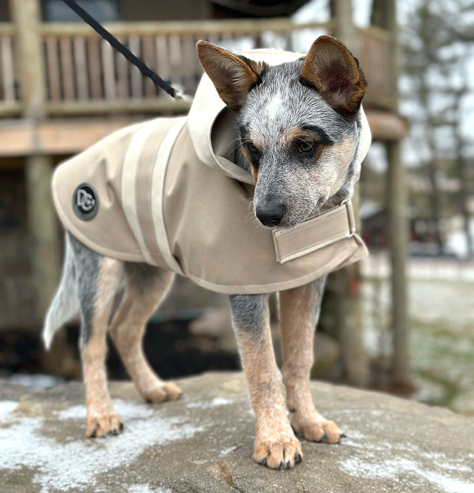 Waterproof Dog Collar, Beige