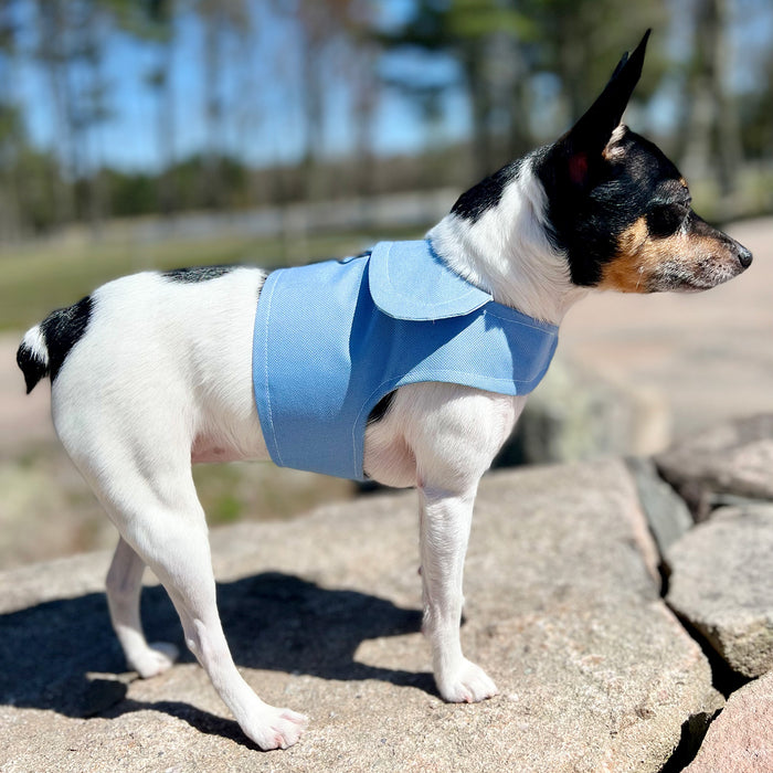 DCNY Periwinkle Harness Vest