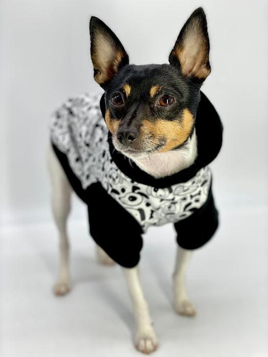 DCNY: Iconic "Pup Art" Designer Dog Hoodie