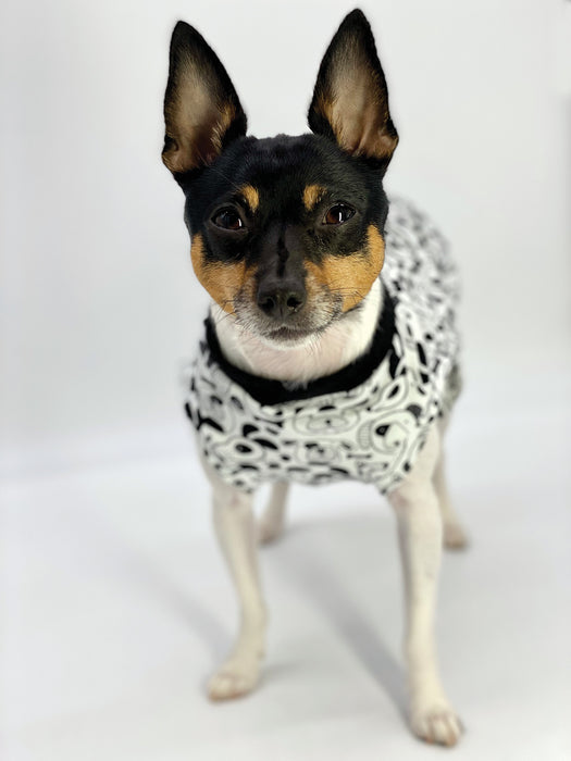 DCNY Iconic "Pup Art" Designer Dog Tank