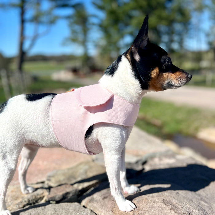 Blush 2024 dog harness
